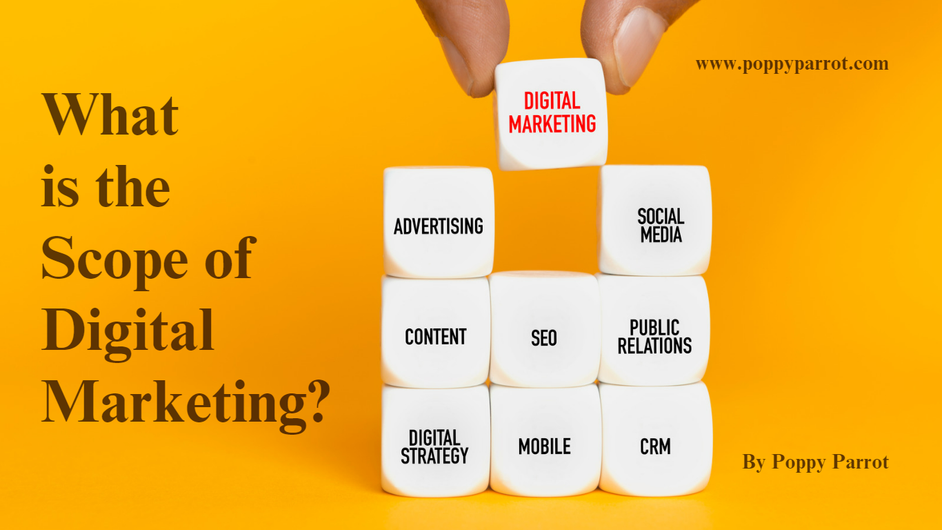 What is the Scope of Digital Marketing?