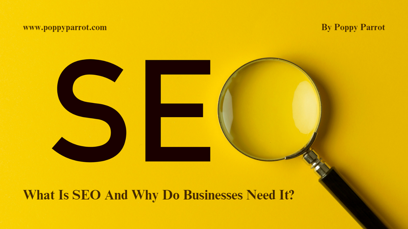 What Is SEO And Why Do Businesses Need It?​