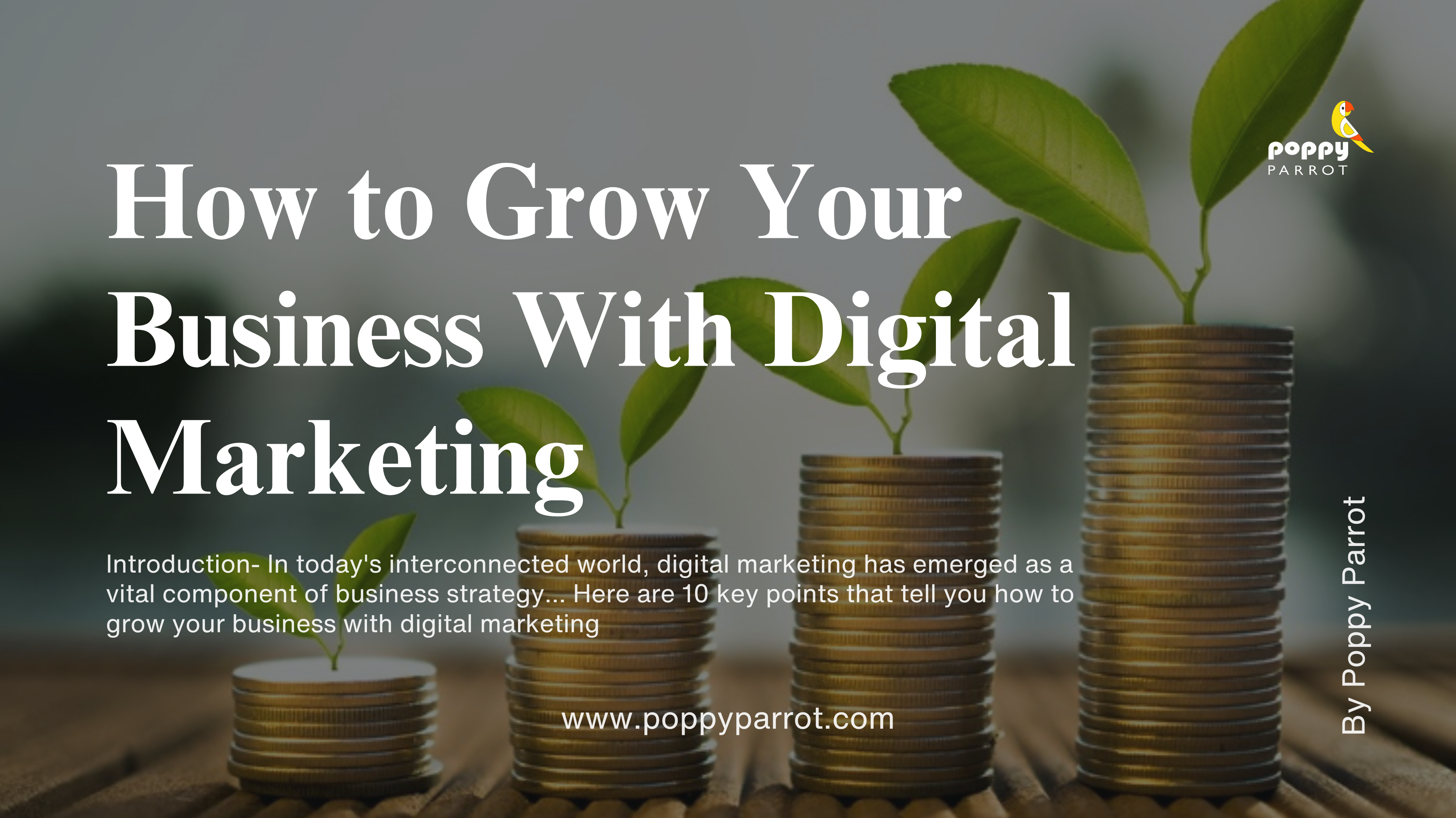 How to grow your business with digital marketing by poppyparrot.com