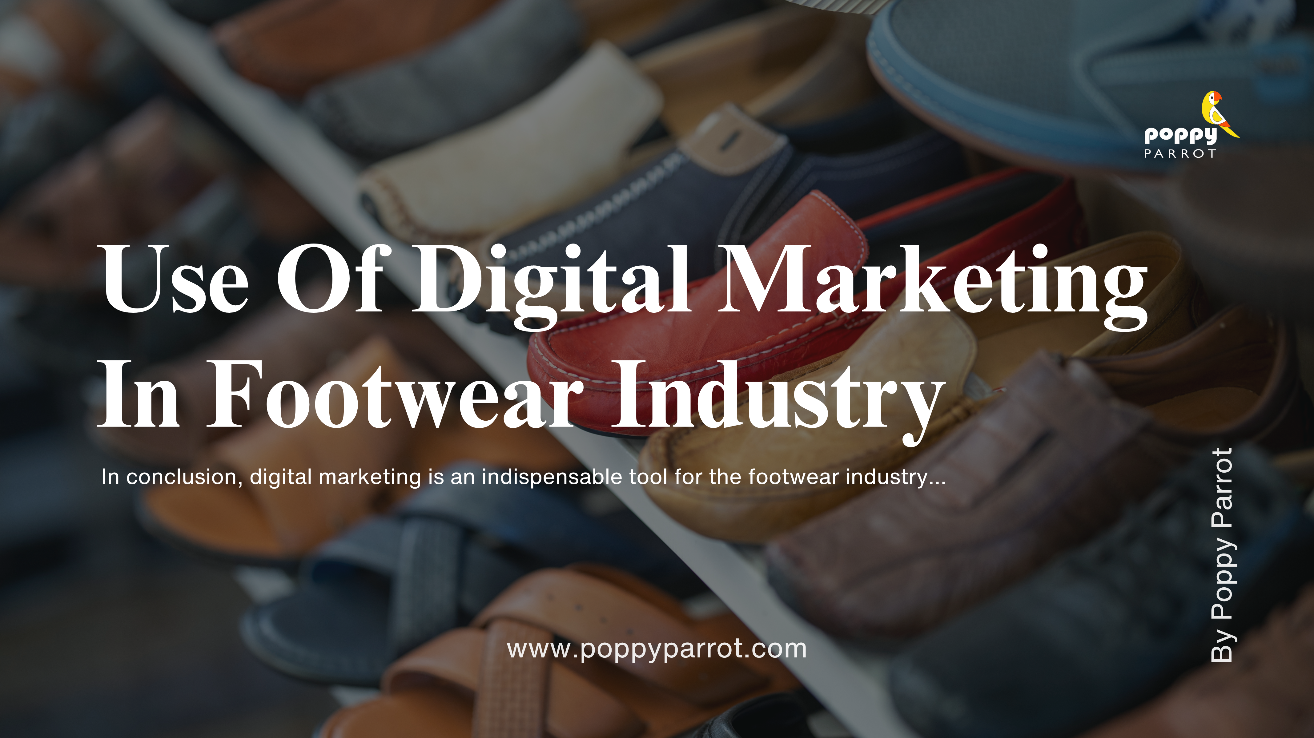 Digital Marketing use in Foot wears industry by Poppy Parrot agency in faridabad