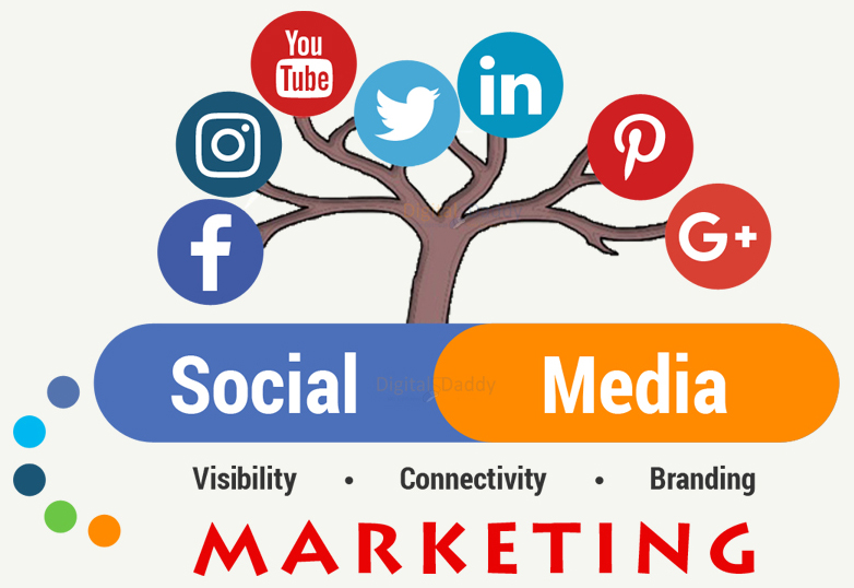 Socisl Media marketing Services by Poppy Parrot Digital marketing agency In Faridabad