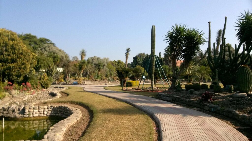 Cactus Garden Chandigarh Poppy Parrot