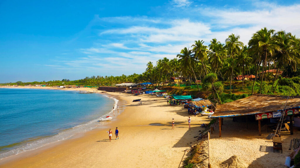 Goa Beach Poppy Parrot