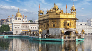 Golden Temple Amritsar Poppy Parrot