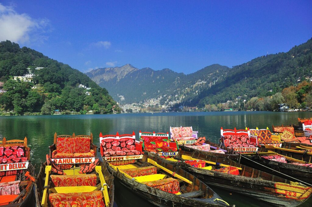 The Lake Nainital Poppy Parrot